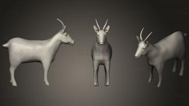 3D model Chamois (STL)